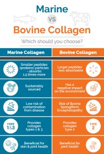 How To Find A High-Quality Effective Collagen Powder